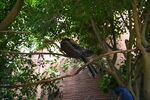 DSC_9080.JPG